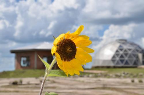 Geometria de empacotamento ou Fibonacci aplicado