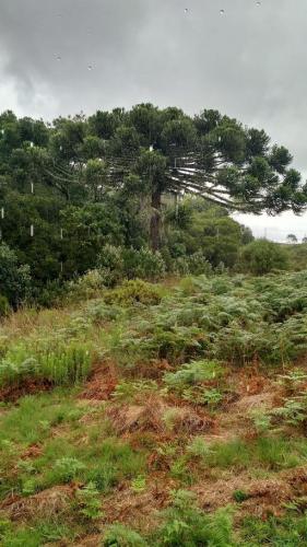 Sempre de braços abertos