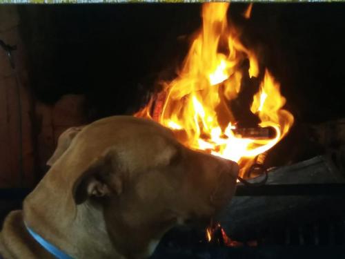 Aquecendo neste frio...