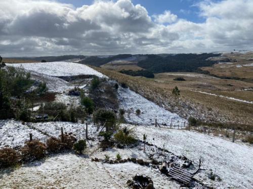 Campos cobertos pela neve!